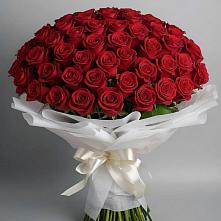 Букет 101 Красная роза Блэк Мэджик в Чечулино