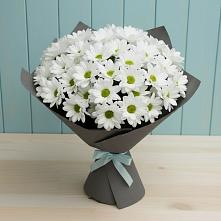 Букет цветов из:  Хризантемы #REPLACE_PRED# Чечулино