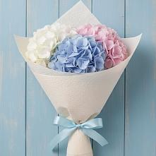 Букет цветов из:  Гортензия в Чечулино