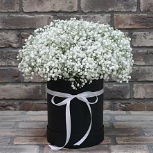 Цветочная композиция из Гипсофила в шляпной коробке #REPLACE_PRED# Чечулино