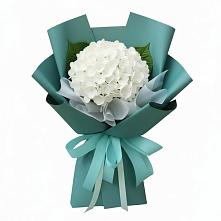 Букет цветов из:  Гортензия в Чечулино